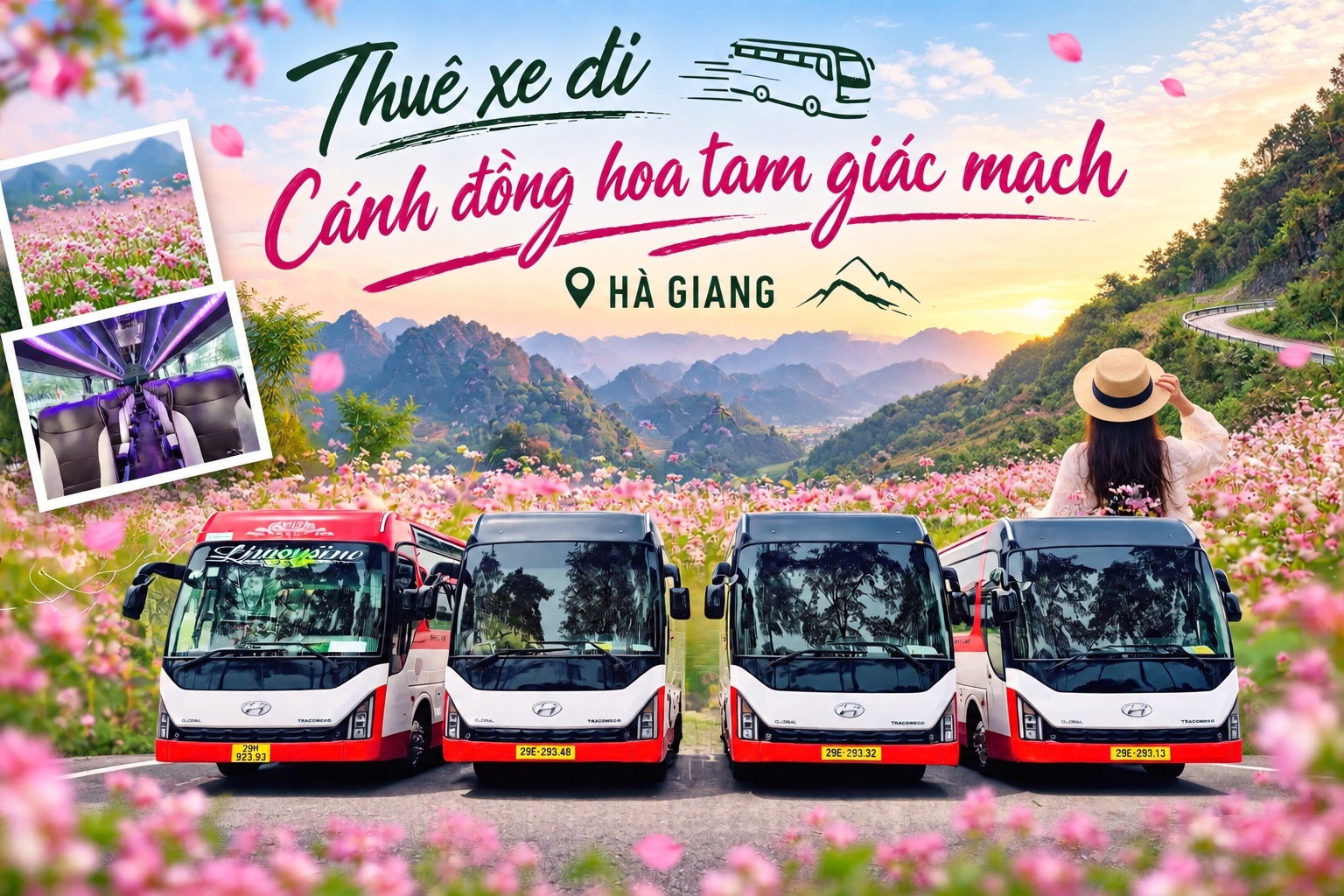 Thuê xe đi xem mùa hoa tam giác mạch giá rẻ từ Hà Nội