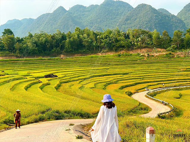 Bảng giá thuê xe đi Pù Luông 4–45 chỗ 2025