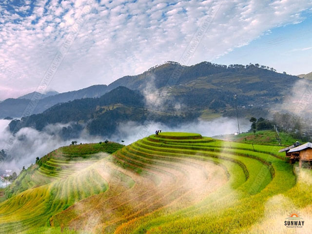 Cho Thuê Xe 16 Chỗ Đi Mù Cang Chải An Toàn Giá Tốt
