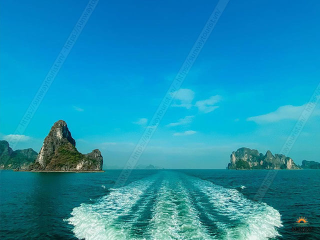 Cho Thuê Xe 16 Chỗ Đi Vân Đồn Giá Tốt, Xe Đời Mới