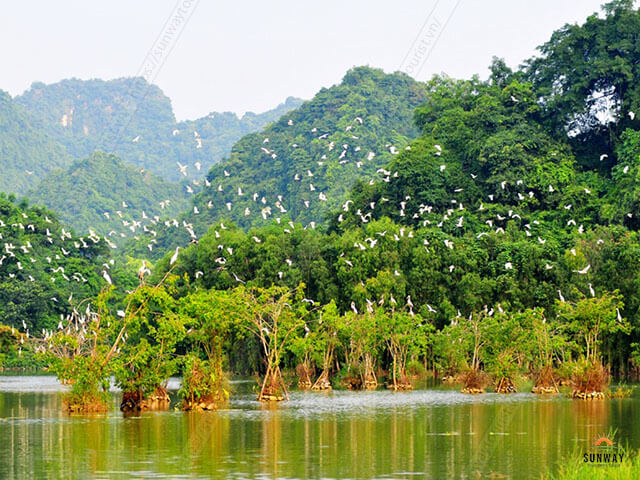 Cho thuê xe đi Thung Nham 4-45 chỗ tại Hà Nội